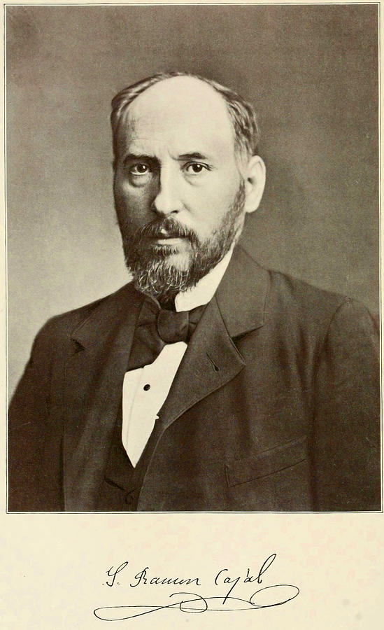 Portrait Photograph - Santiago Ramn Y Cajal. Spanish by Everett
