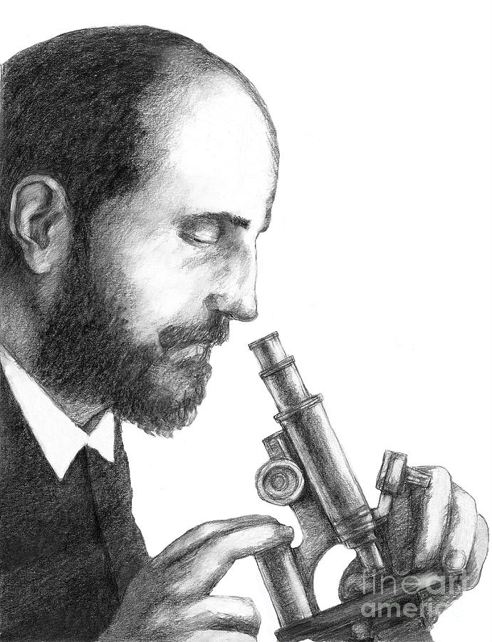 Santiago Ramon Y Cajal, Scientist Photograph by Spencer Sutton