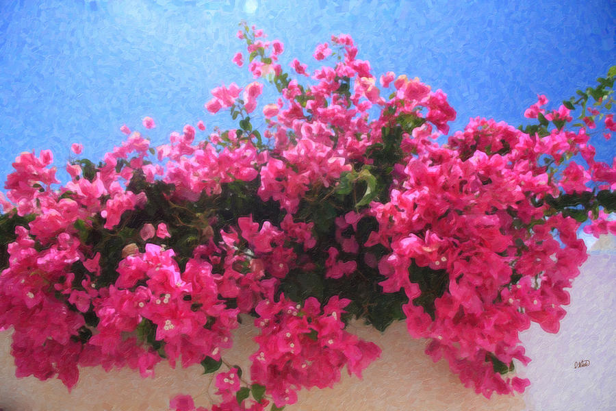 Santorini Flowers Grk1113 Painting by Dean Wittle