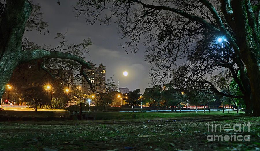 Sao Paulo - Ibirapuera Park at Night Under Moonlit Photograph by Carlos Alkmin