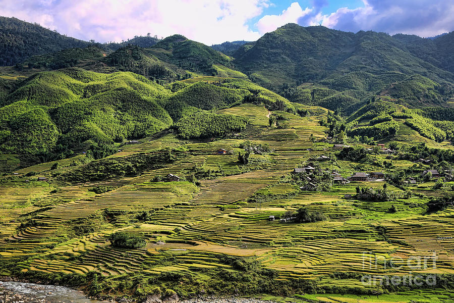 Mountain Photograph - Sapa Rice Terrain VIII by Chuck Kuhn