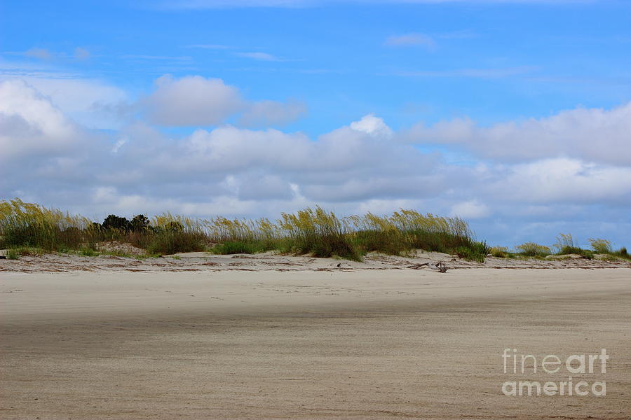 Sapelo Dunes Photograph by Andre Turner Sapelo Dunes Photograph by Andre Turner