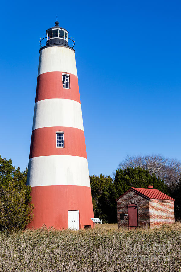 Lighthouse Photograph - Sapelo Island Lighthouse Sapelo Island Georgia by Dawna Moore Photography