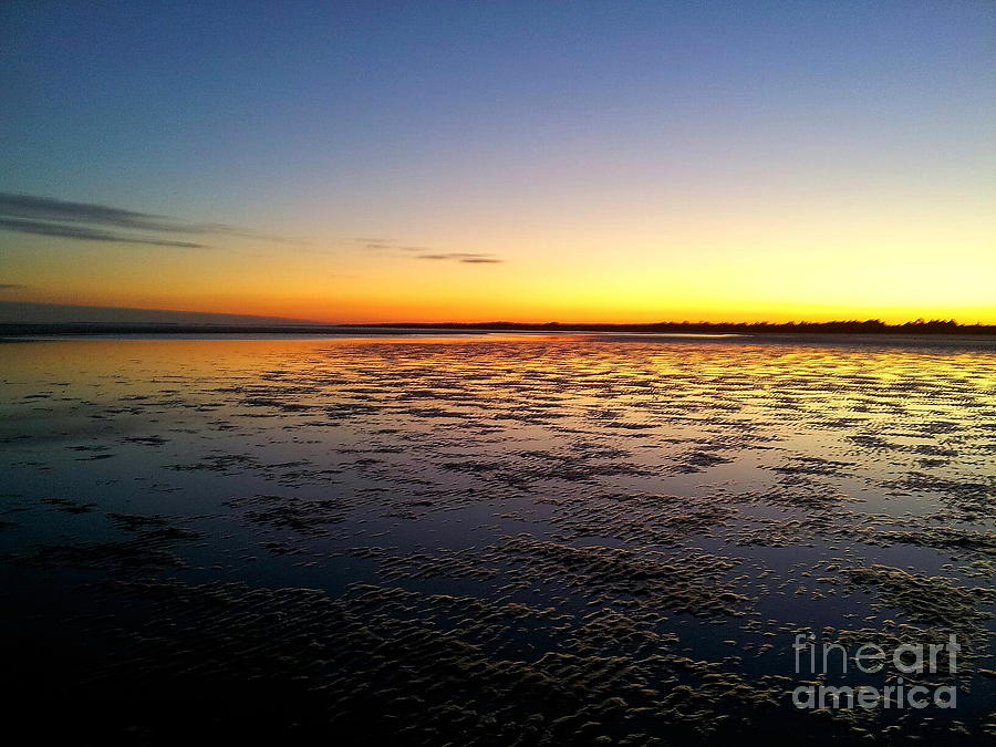 Sapelo Sunset Tide Photograph by Andre Turner