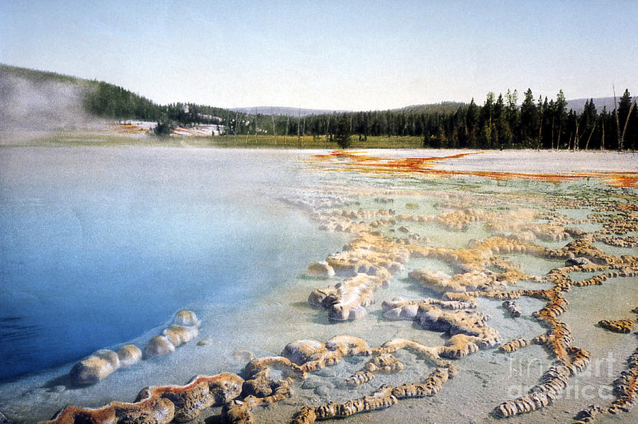 Sapphire Pool Yellowstone National Park Photograph by NPS Photo Detroit Photographic Co