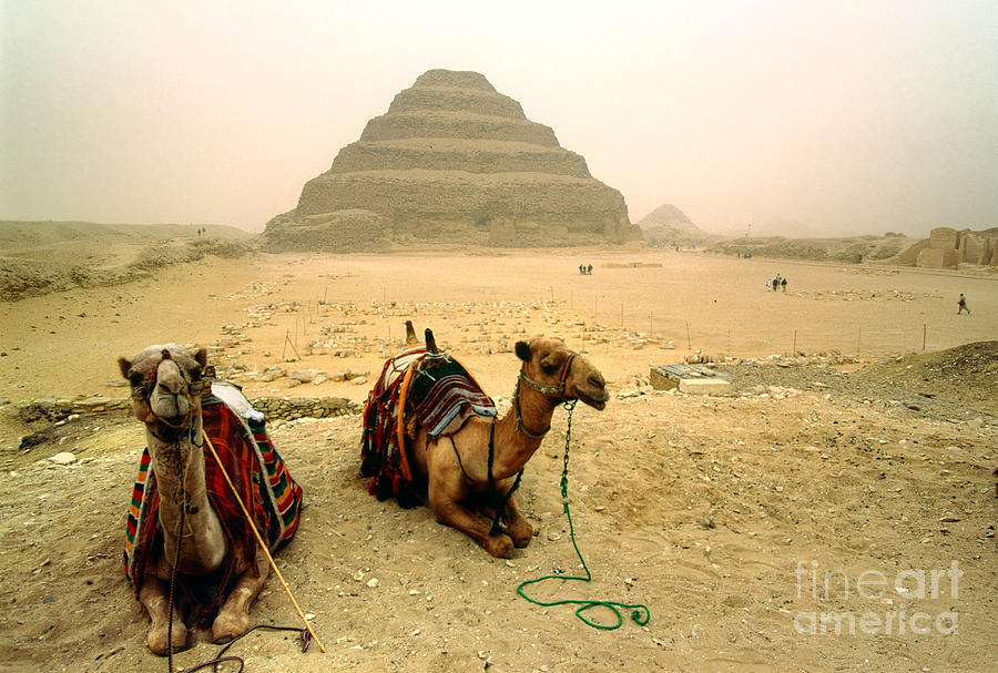 Saqqara - The Step Pyramid of Zoser - Egypt Photograph by Luciano Mortula
