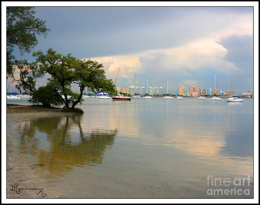 Sarasota  from City Island Photograph by Mariarosa Rockefeller