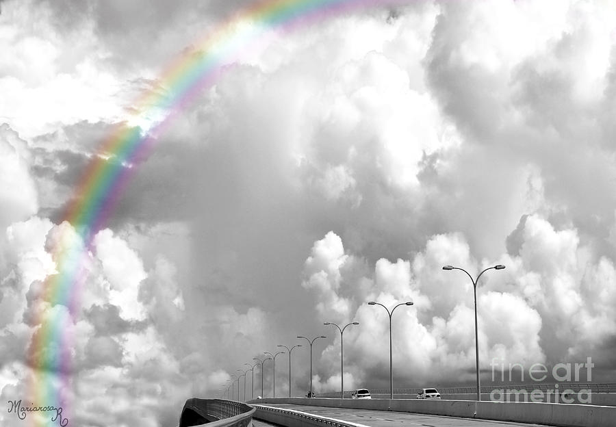 Sarasota Rainbow Photograph by Mariarosa Rockefeller