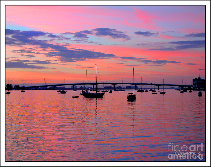 Sarasota Sunset Photograph by Mariarosa Rockefeller