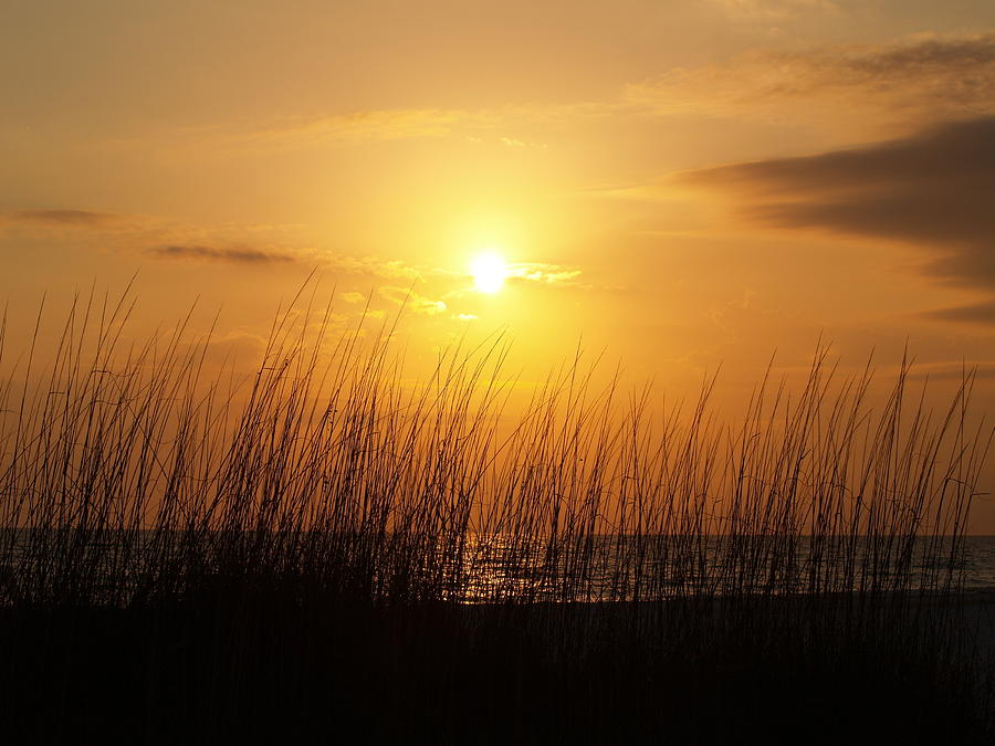 Sarasota Sunsets Photograph by Athala Bruckner
