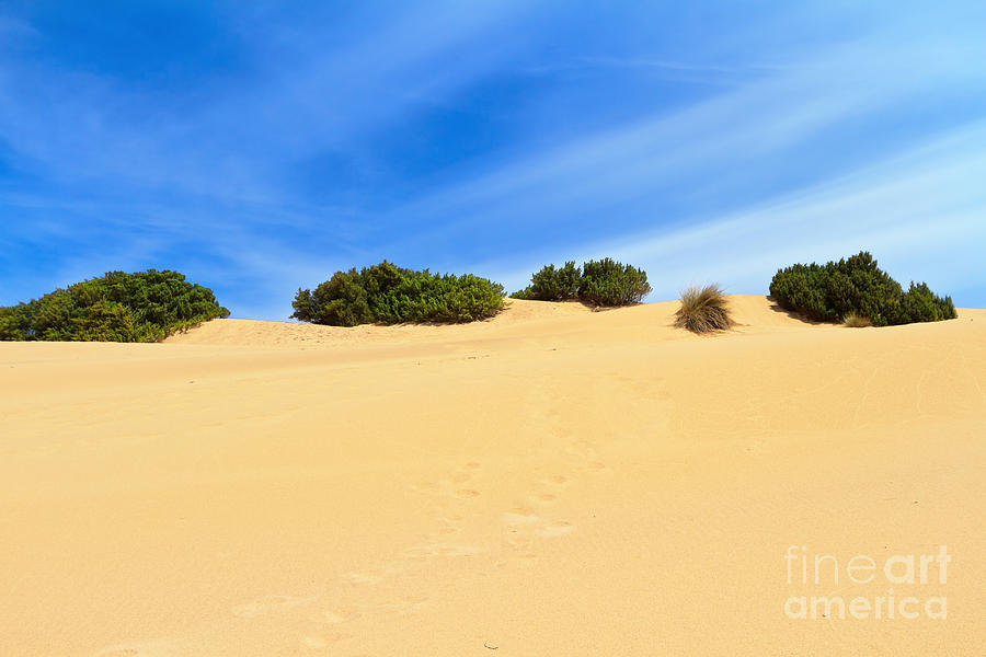 Nature Photograph - Sardegna - Dune in Piscinas by Antonio Scarpi