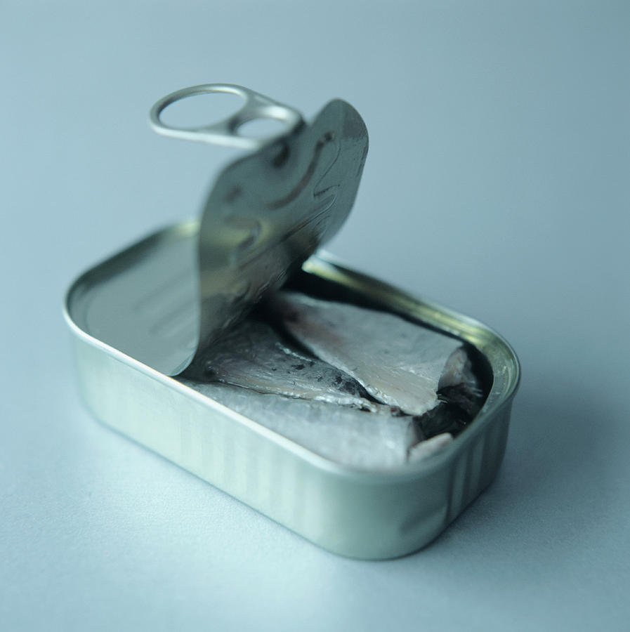 Pilchard Photograph - Sardines by Cristina Pedrazzini/science Photo Library Pilchard Photograph - Sardines by Cristina Pedrazzini/science Photo Library