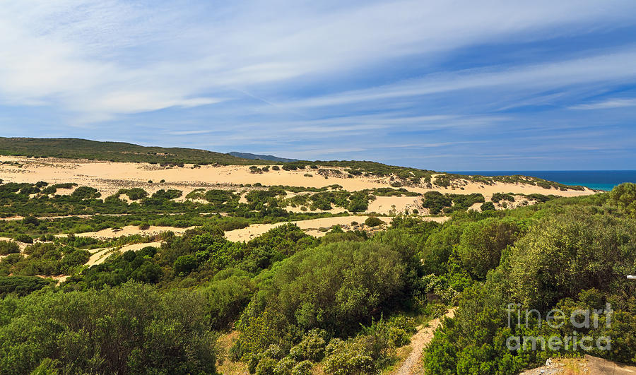 Nature Photograph - Sardinia - Piscinas dune by Antonio Scarpi