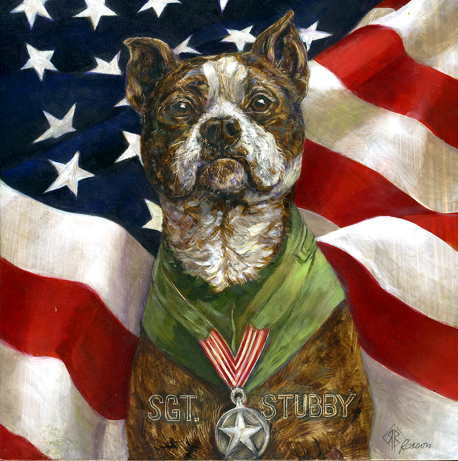 was sgt stubby a pitbull