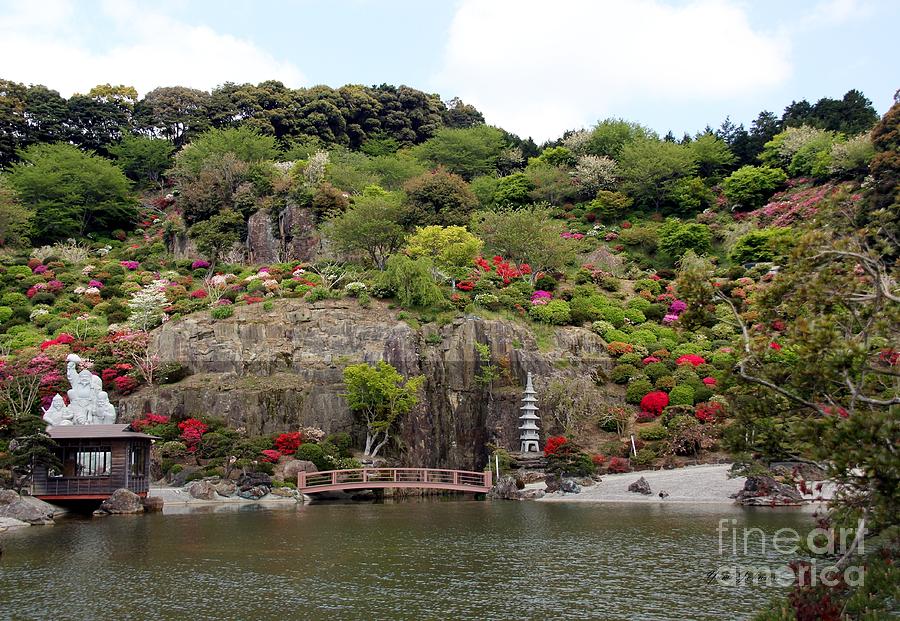 Sasebo garden Photograph by Yumi Johnson