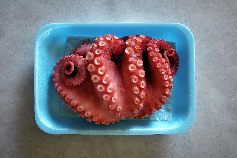 Sashimi Octopus On Counter Photograph by Brad Wenner