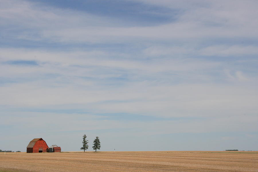 Saskatchewan Photograph by Betty-Anne McDonald