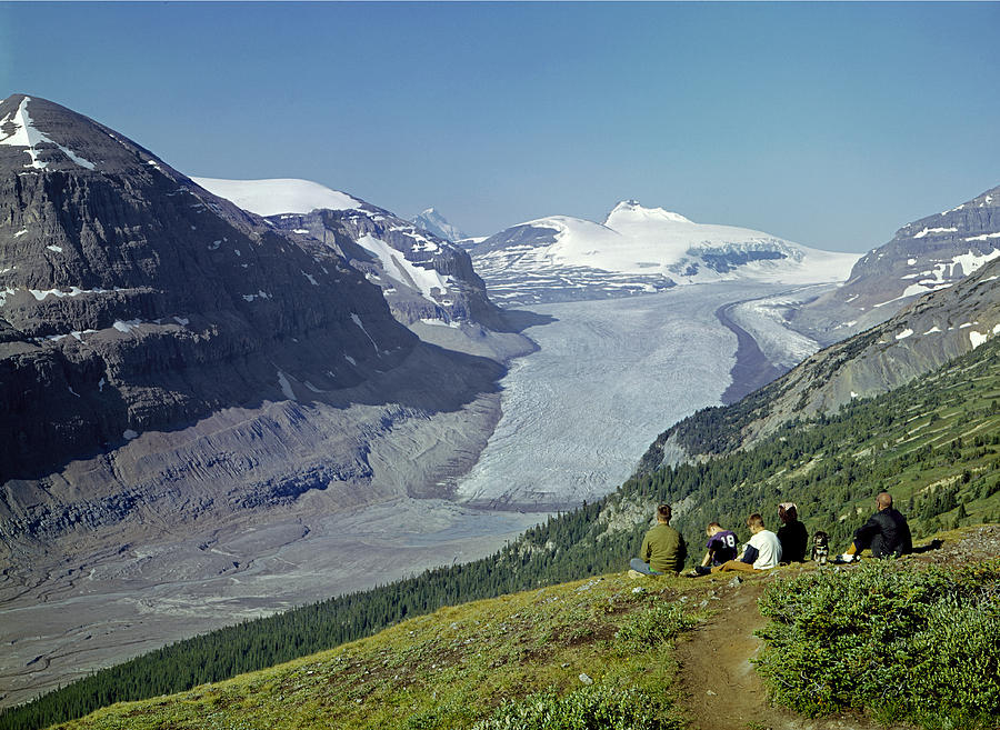 1M3617-Saskatchewan Glacier in 1971 Photograph by Ed  Cooper Photography
