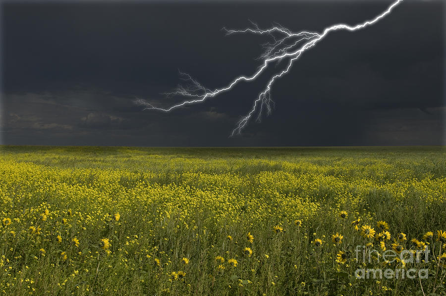 Nature Photograph - Saskatchewan Prairie Lighting by Mark Newman