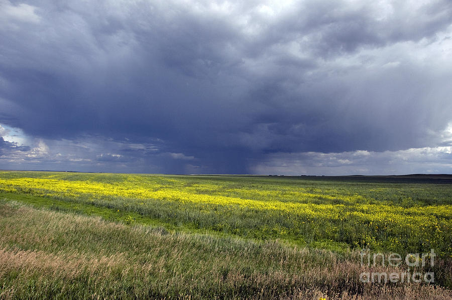 Saskatchewan Prairie Photograph by Mark Newman
