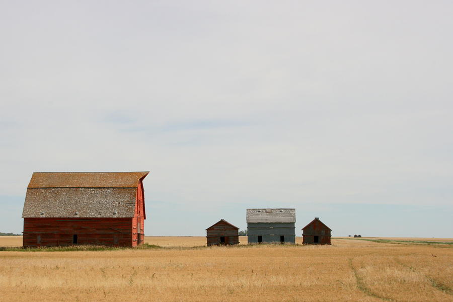 Saskatchewan Three Photograph by Betty-Anne McDonald