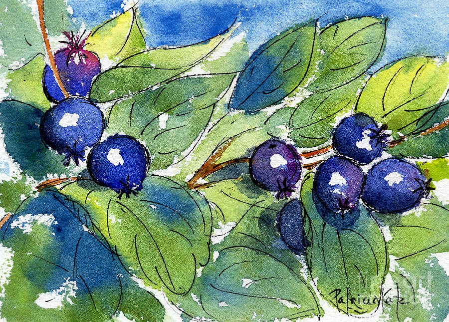 Saskatoon Berries Painting by Pat Katz