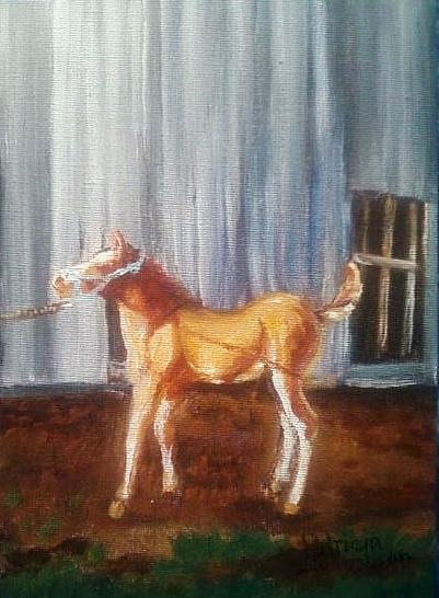 Filly Painting - Sassy Doll by Patricia Olson