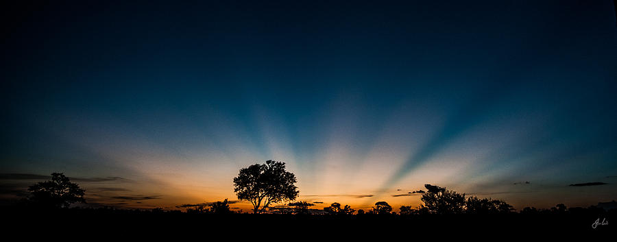 Buffalo Photograph - Satara Sunset by Jason Lanier