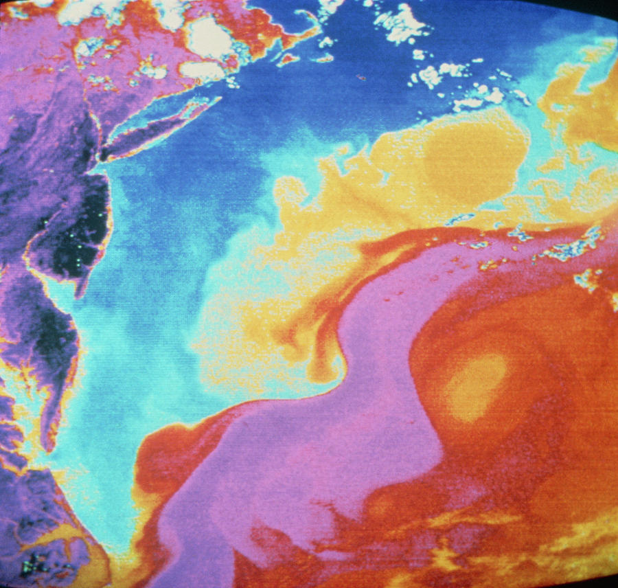 Satellite Image Showing Gulf Stream Photograph by Dr. R. Legeckis/science Photo Library