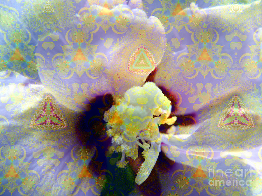 Satin Flower Fractal Kaleidoscope Photograph by Renee Trenholm