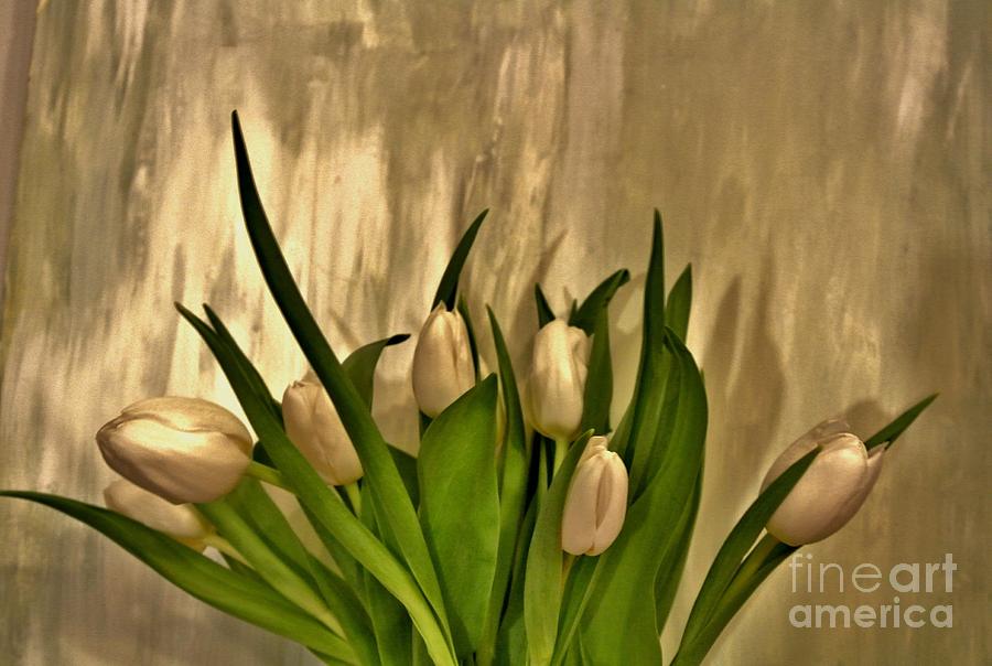 Tulip Photograph - Satin Soft Tulips by Marsha Heiken