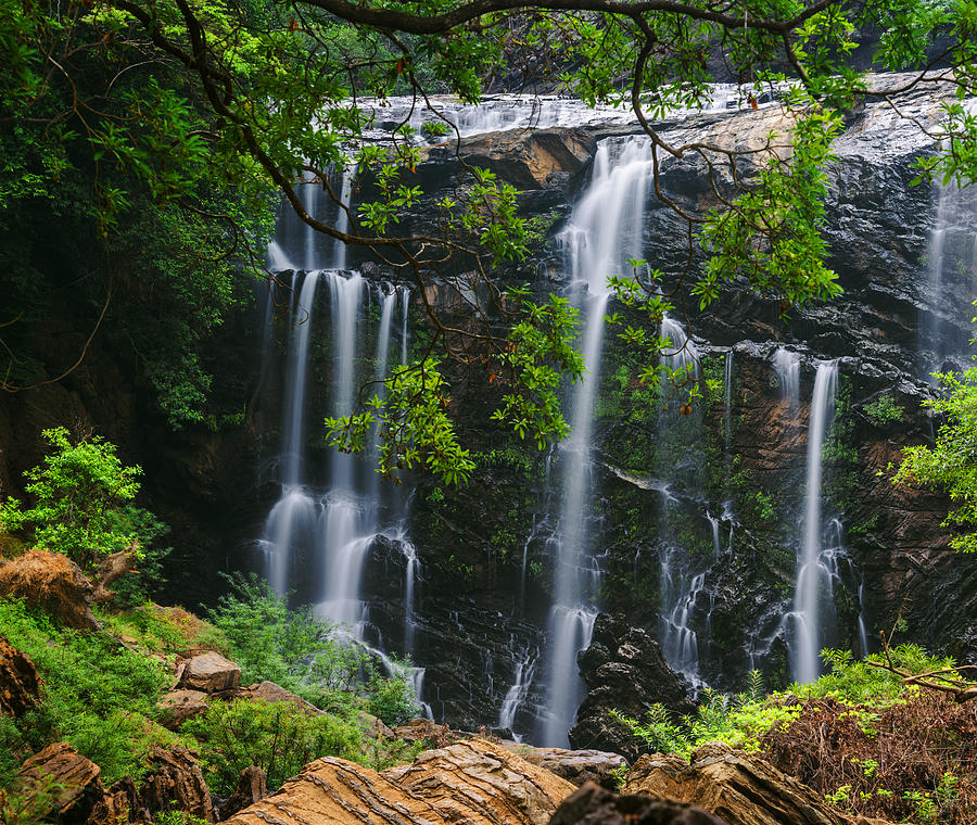 Satoddi Falls through the trees Photograph by Vishwanath Bhat