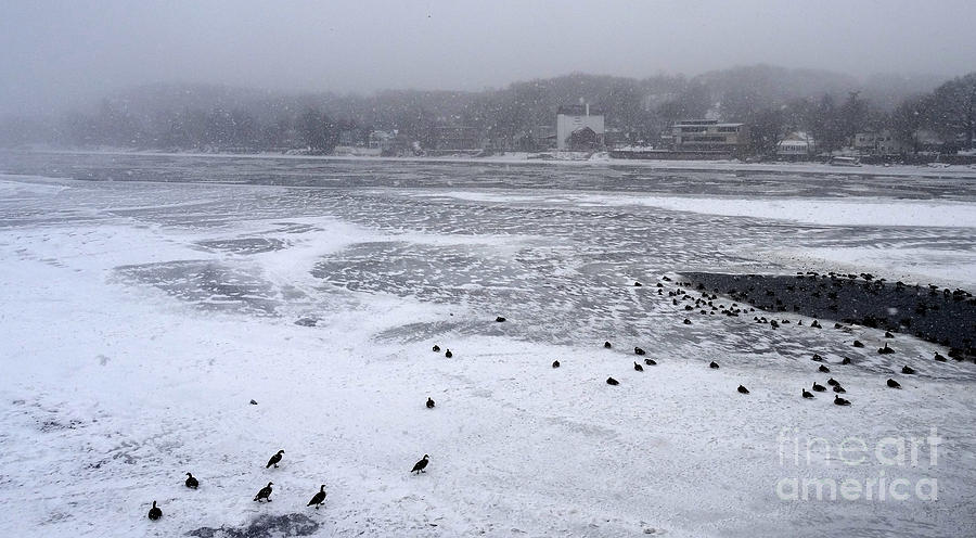 Saturday Snow on the River - view of New Hope Photograph by Christopher Plummer