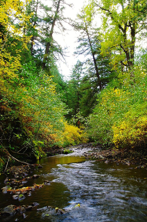 Satus Creek In Autumn Attire Photograph