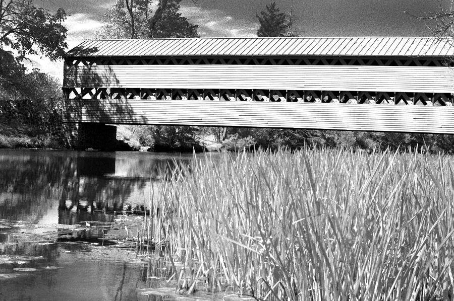 Black And White Photograph - Saucks Bridge and Reeds by Paul W Faust -  Impressions of Light