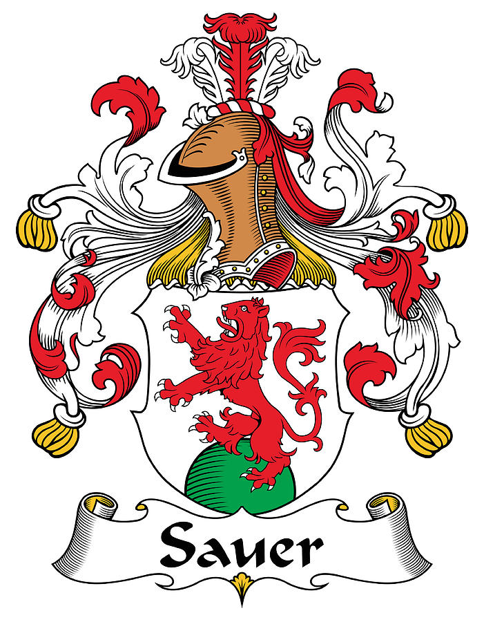 Sauer Coat Of Arms German Digital Art By Heraldry - Fine Art America