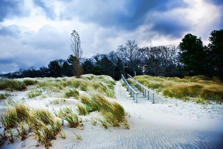 Saugatuck Stairs in the Dunes on Lake Michigan Photograph by Evie Carrier