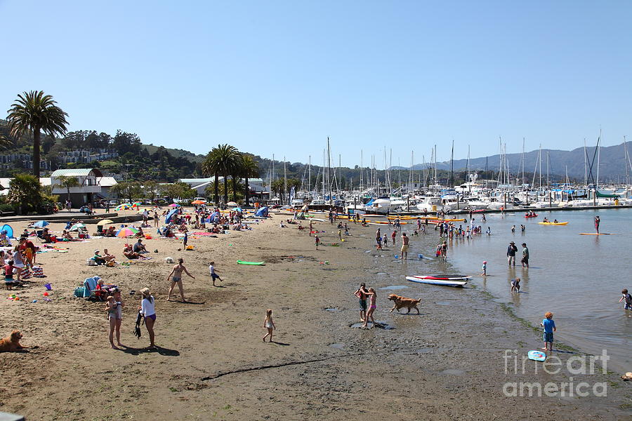 Sausalito Beach Sausalito California 5d22696 Photograph by Wingsdomain ...