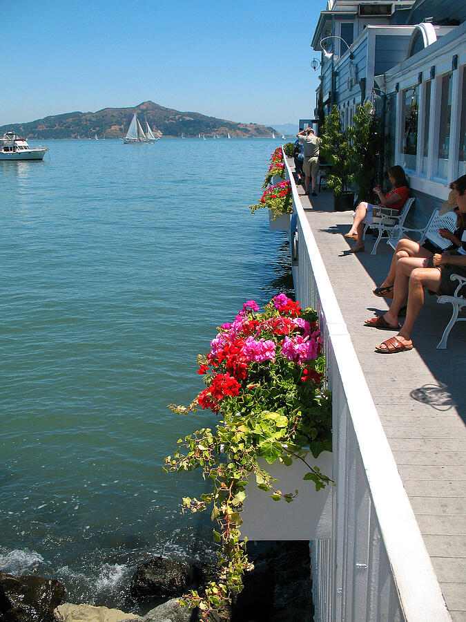 Sausalito Leisure Photograph by Connie Fox