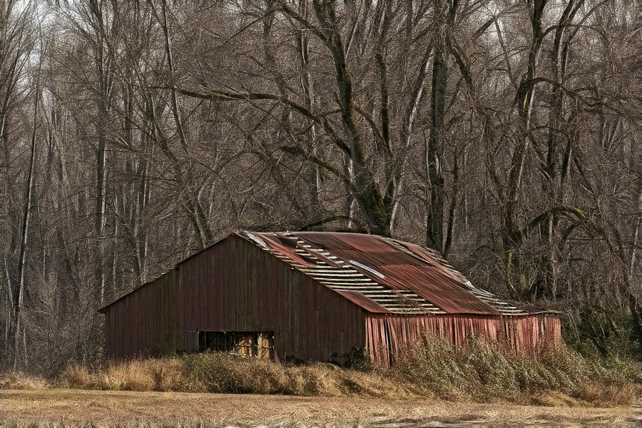 Sauvie Island Barn Photograph by Wes and Dotty Weber