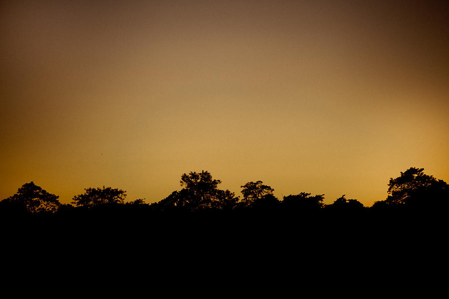 Nature Photograph - Savanna at sunset by Raimond Klavins