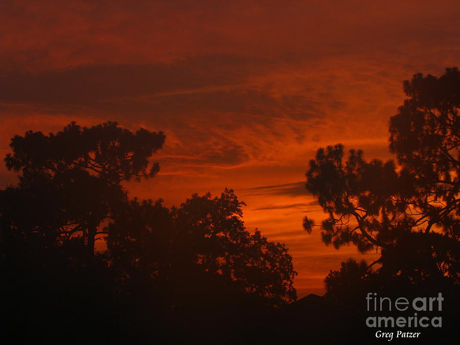 Sunset Photograph - Savanna by Greg Patzer