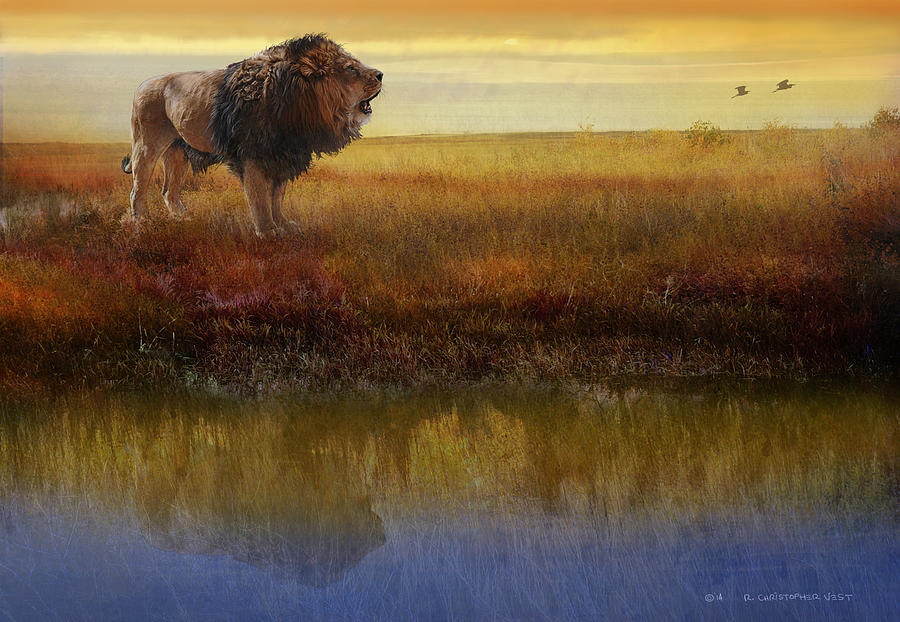 Wildlife Painting - Savanna Reflection African Lion by R christopher Vest