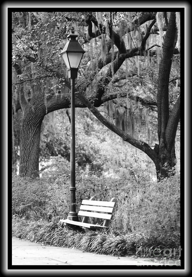 Black And White Photograph - Savannah Afternoon - Black and White by Carol Groenen