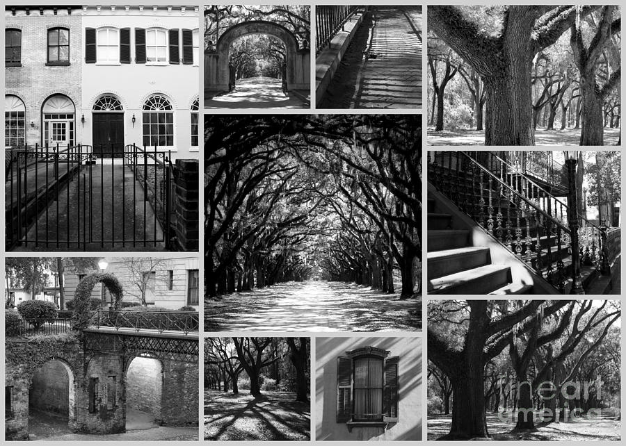 Savannah Collage - Black and White Photograph by Carol Groenen