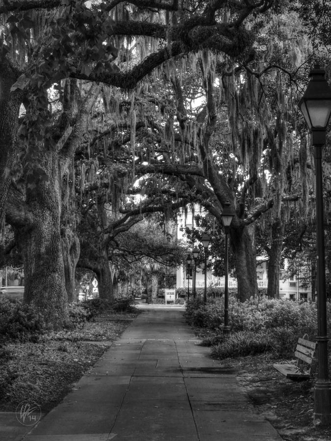Savannah - Forsyth Park 001 BW Photograph by Lance Vaughn
