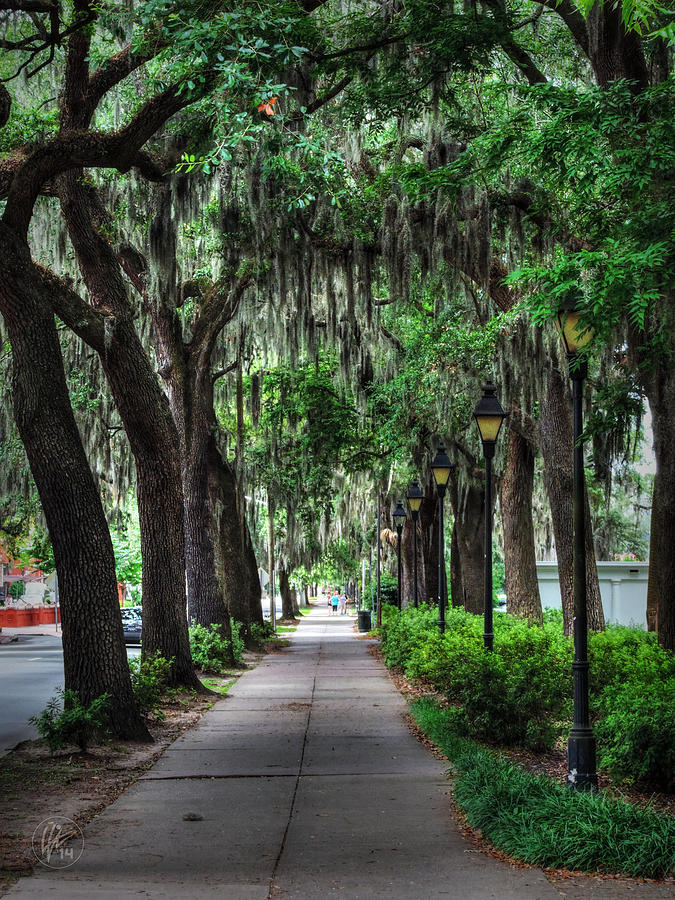 Savannah - Forsyth Park 002 Photograph by Lance Vaughn