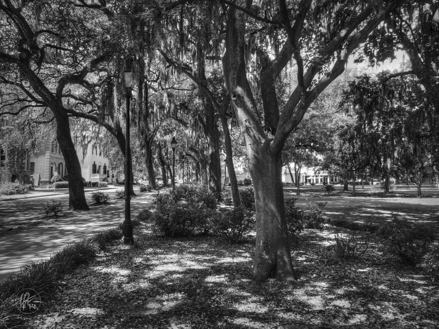Savannah - Forsyth Park 005 BW Photograph by Lance Vaughn