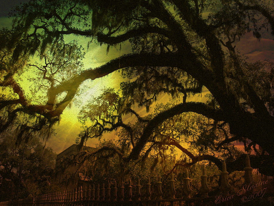 City Photograph - Savannah GA Spanish Moss-Featured in Best Blank Greeting Cards and Harmony and Happiness Groups by Ericamaxine Price