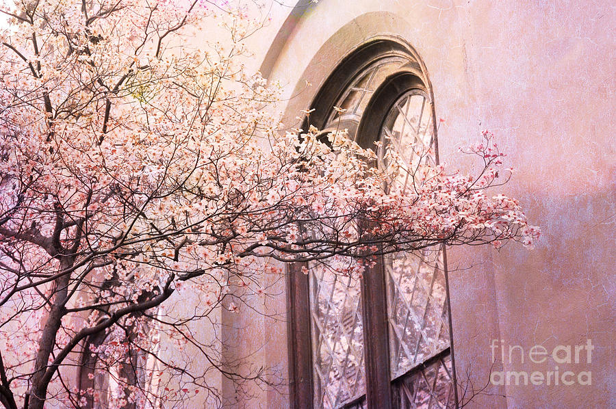 Savannah Georgia Church Window With Pink Floral Trees Nature  Photograph by Kathy Fornal